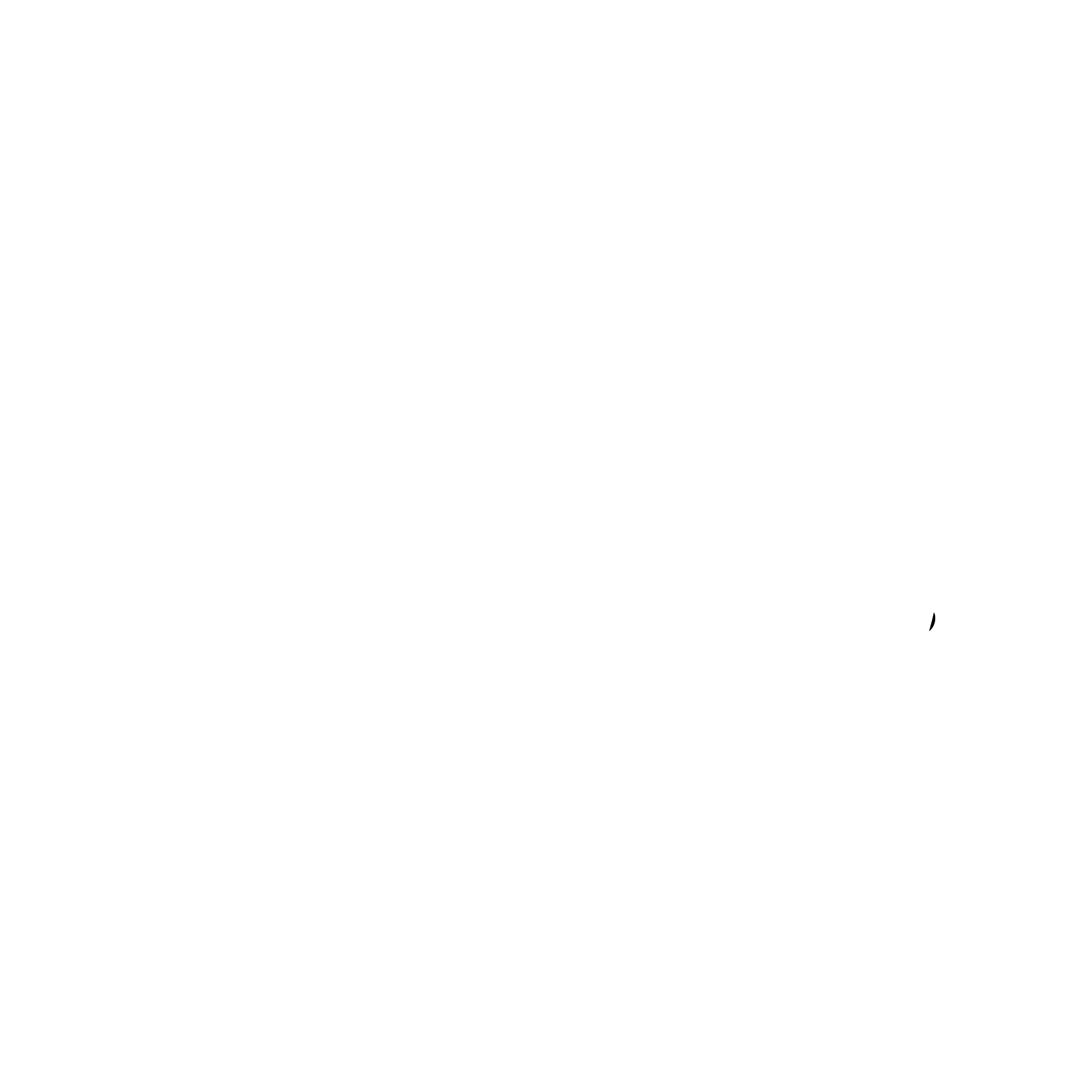 The Physique Warehouse logo
